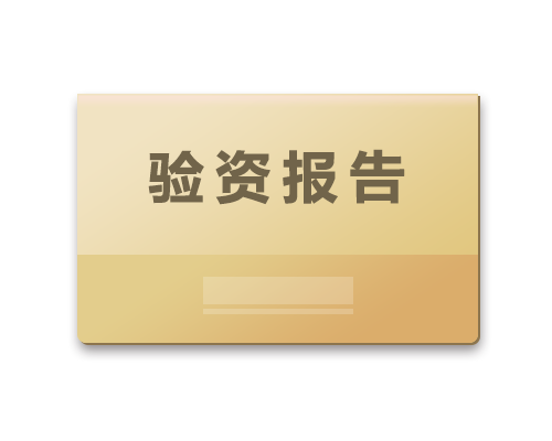 验资报告